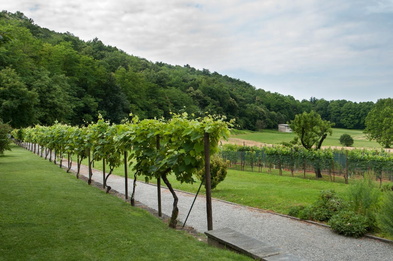 Vecchia Osteria Seseglio Hotel Chiasso Eksteriør billede